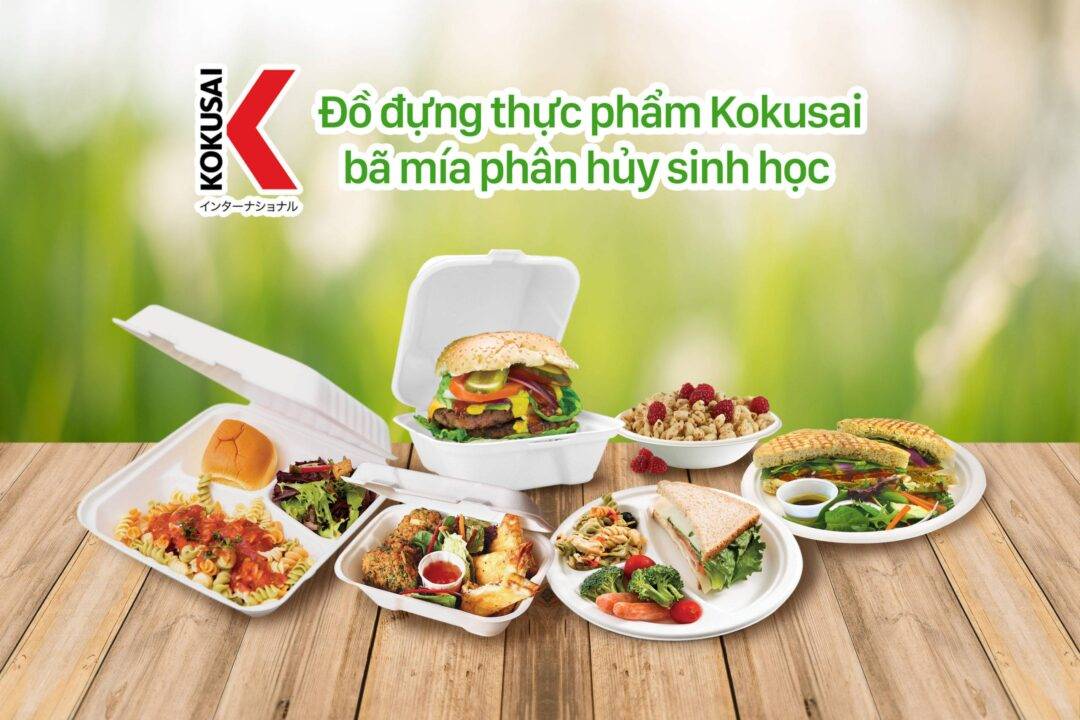 DĨA BÃ MÍA PHÂN HỦY SINH HỌC - 180497 6 180497 2 scaled - Mua trực tiếp từ nhà máy - Thương hiệu toàn cầu, sản phẩm tốt nhất, danh mục lớn nhất Việt Nam, giá và chất lượng hàng đầu, dịch vụ uy tín đoạt giải Best Performance.